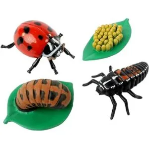 Insect Lore Life Cycle Figurines Juego de 24 piezas_5