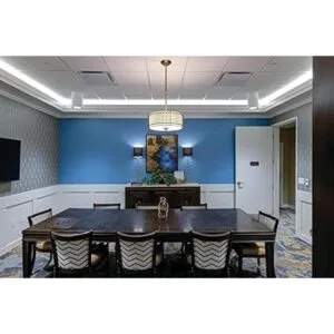 Juno LO6AR LSS LED comercial Downlight acabado_5