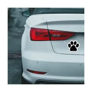 Magnet Me Up Calcomanía magnética negra en blanco 5_2