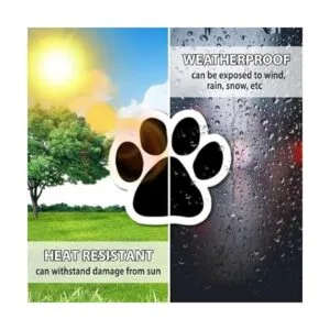 Magnet Me Up Calcomanía magnética negra en blanco 5_6