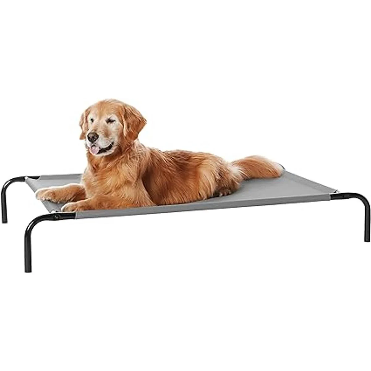 Cama elevada y refrescante para mascotas tallas XS a XL_1