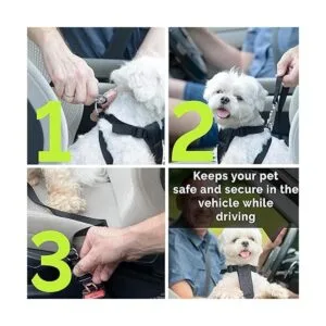 Cinturón de seguridad para perro perro gato cinturón de_3