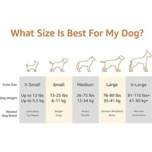 Cama elevada y refrescante para mascotas tallas XS a XL_3