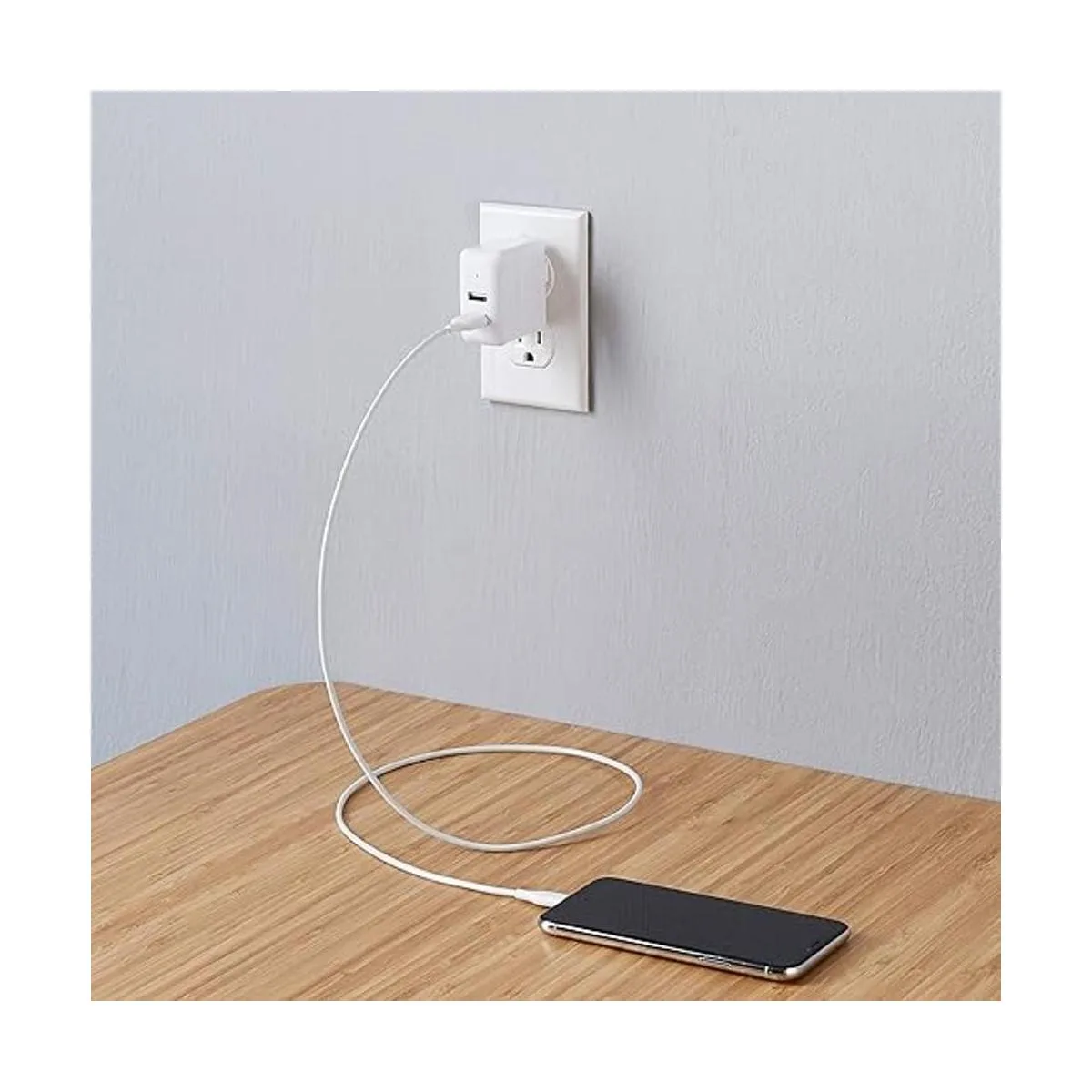 DualPort 24W USB Wall Charger for Phone iPad and Tablet_5