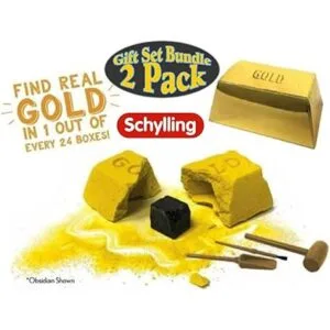 Schylling Chip Away Science Digs Juego de regalo de oro y_2