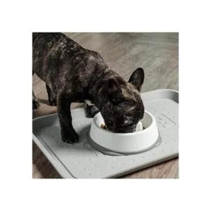 IRIS USA Cuenco antideslizante para perro con comedero_3