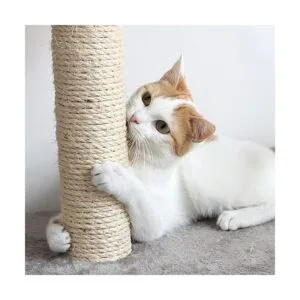 Cat Scratching Post Carpeted Base Play Area and Perch_5