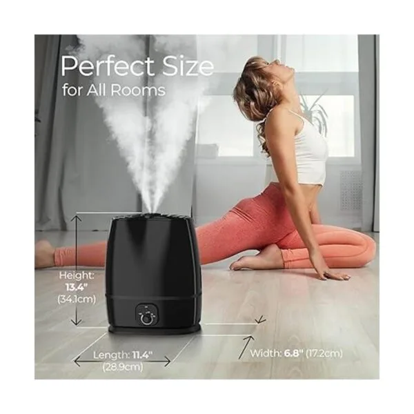 Everlasting Comfort Humidificador ultrasónico de niebla_5