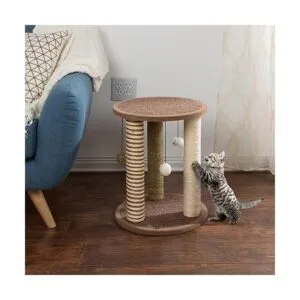 Cat Scratching Post Carpeted Base Play Area and Perch_4