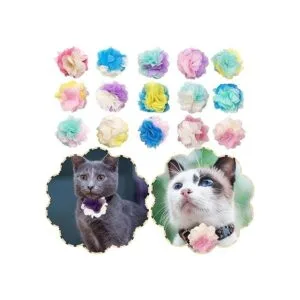 Pet Show Collar de perro lazos encantos flor accesorios_3