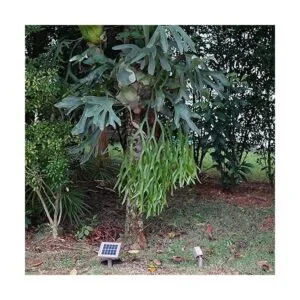 Hexagonal 50 x individual foco Solar LED de color blanco_2