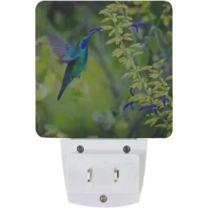 Naanle Juego de 2 hermosos colibríes verdes y violetas_2