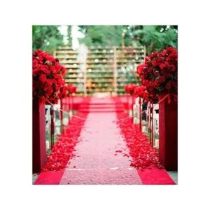 Ribest 14 pulgadas 50 yardas cinta de grogrén sólido por_6