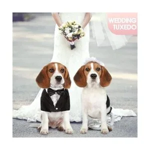 Kuoser Camisa para cachorro ropa para perro pequeño_5