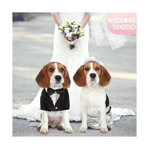 Kuoser Camisa para cachorro ropa para perro pequeño_5