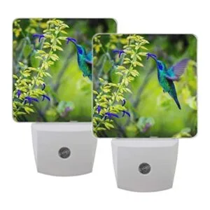 Naanle Juego de 2 hermosos colibríes verdes y violetas_1