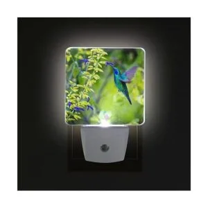 Naanle Juego de 2 hermosos colibríes verdes y violetas_3