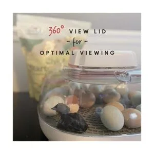 Manna Pro Harris Farms Nurture Right Incubadora_5