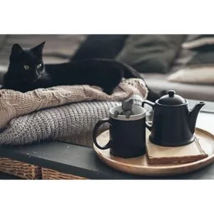 Infusor de té de silicona para gatos de Genuine Fred_4