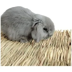 Alfombrilla de cama tejida para cama de conejo de animales_3