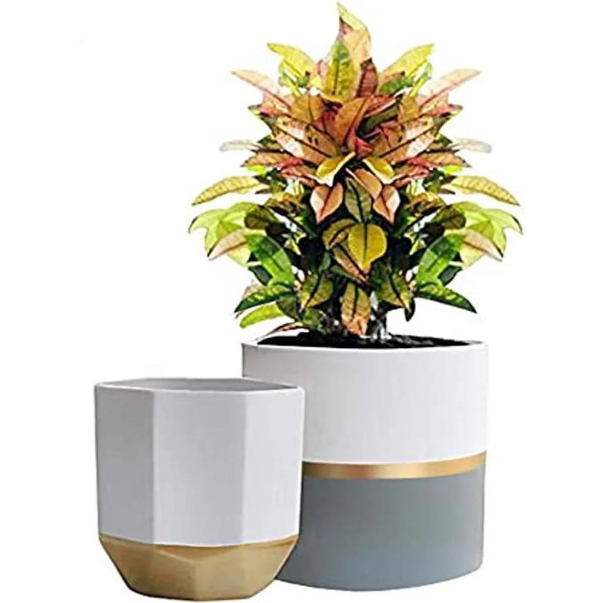 LA JOLIE MUSE Macetas de jardín de cerámica blanca de 6.7_1