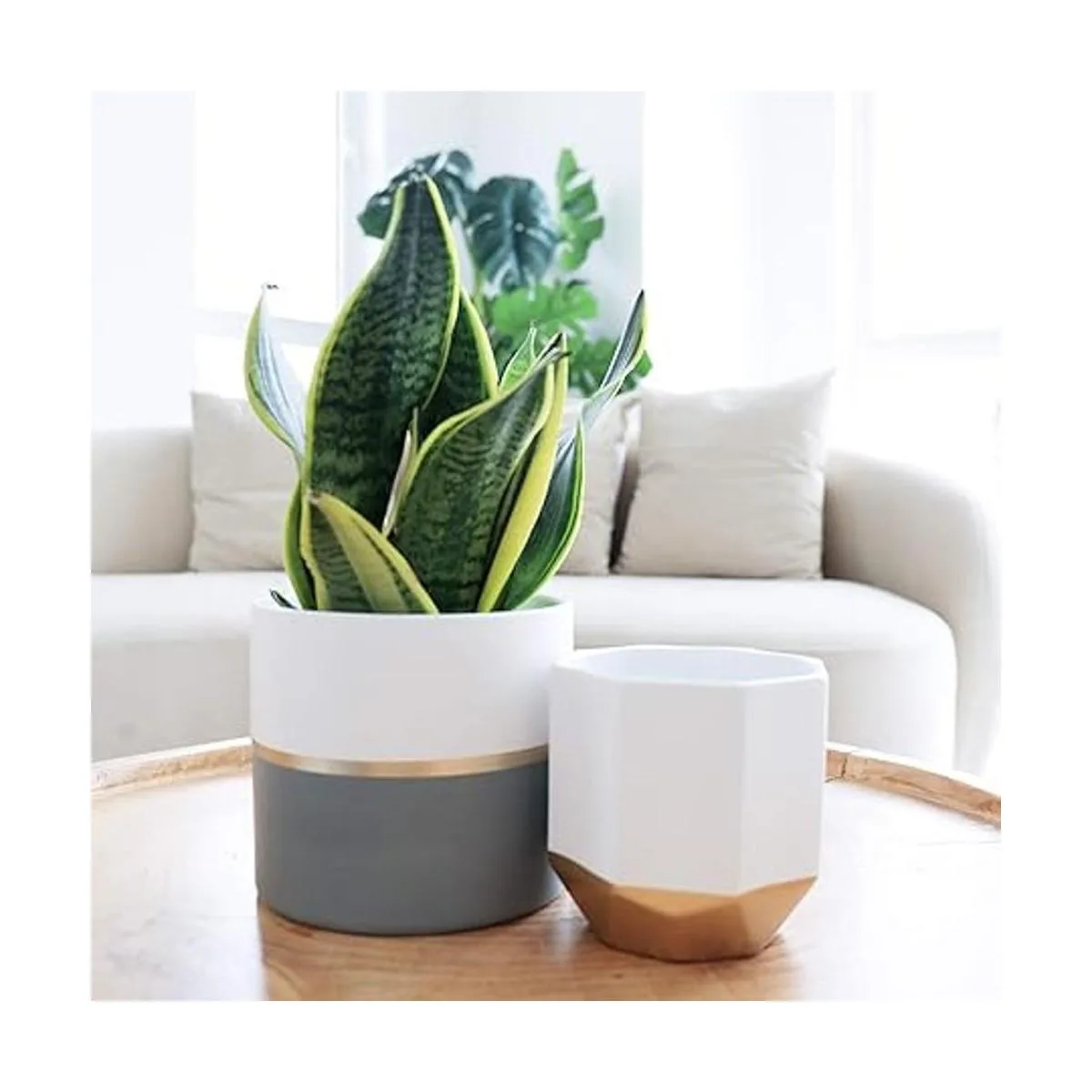 LA JOLIE MUSE Macetas de jardín de cerámica blanca de 6.7_4