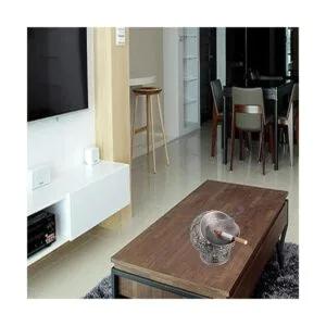 Cenicero vintage resistente al viento con tapa cenicero_7