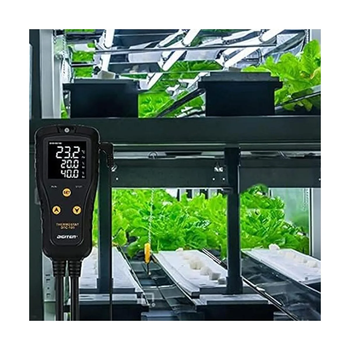 DIGITEN Controlador de temperatura de termostato DTC101_6