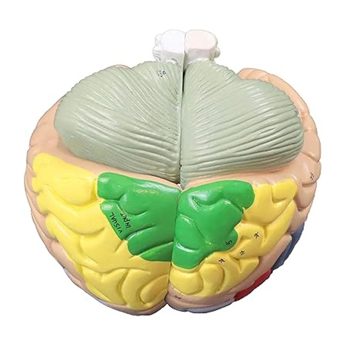 Parco Scientific pb00060 2 x vida tamaño codificados por_4