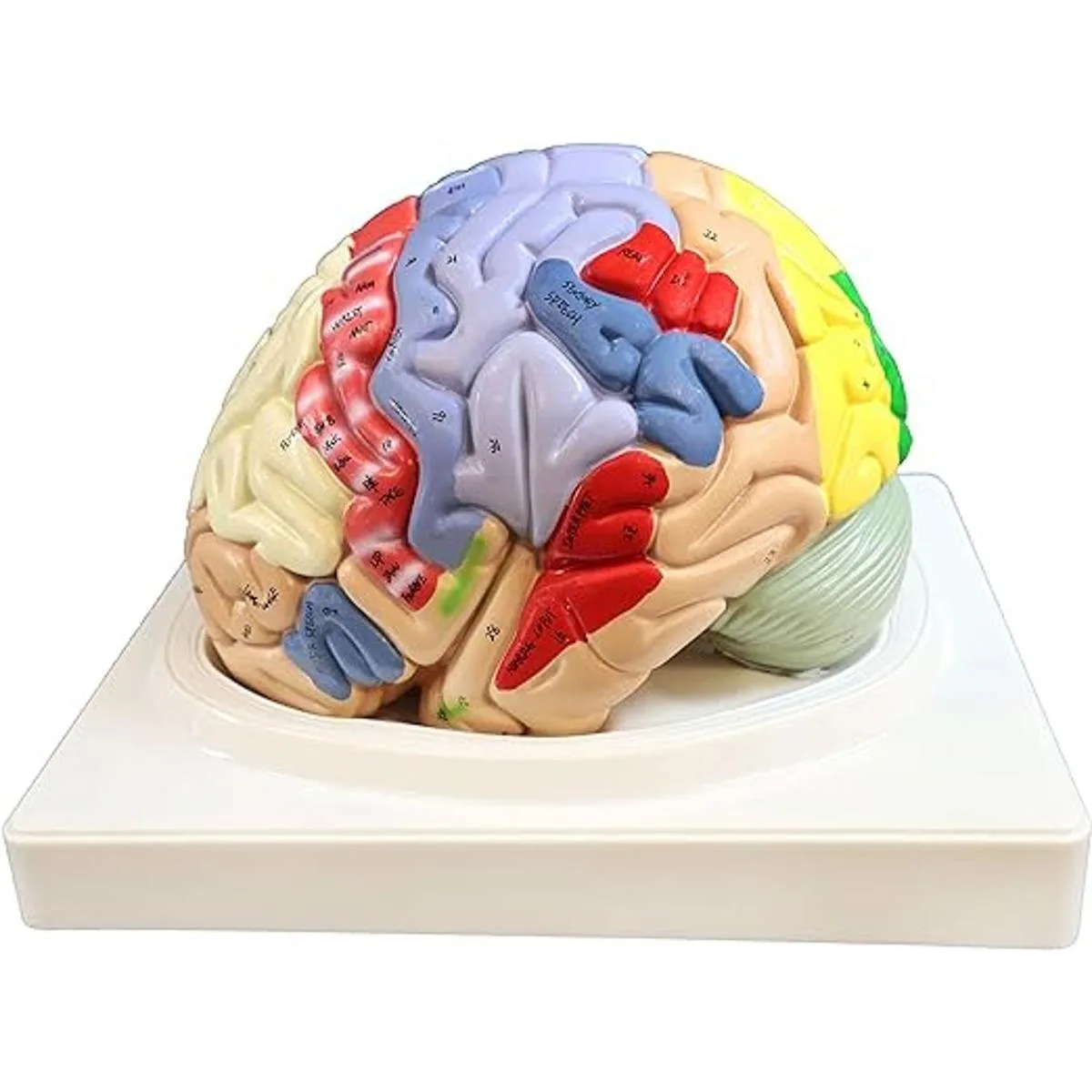 Parco Scientific pb00060 2 x vida tamaño codificados por_1