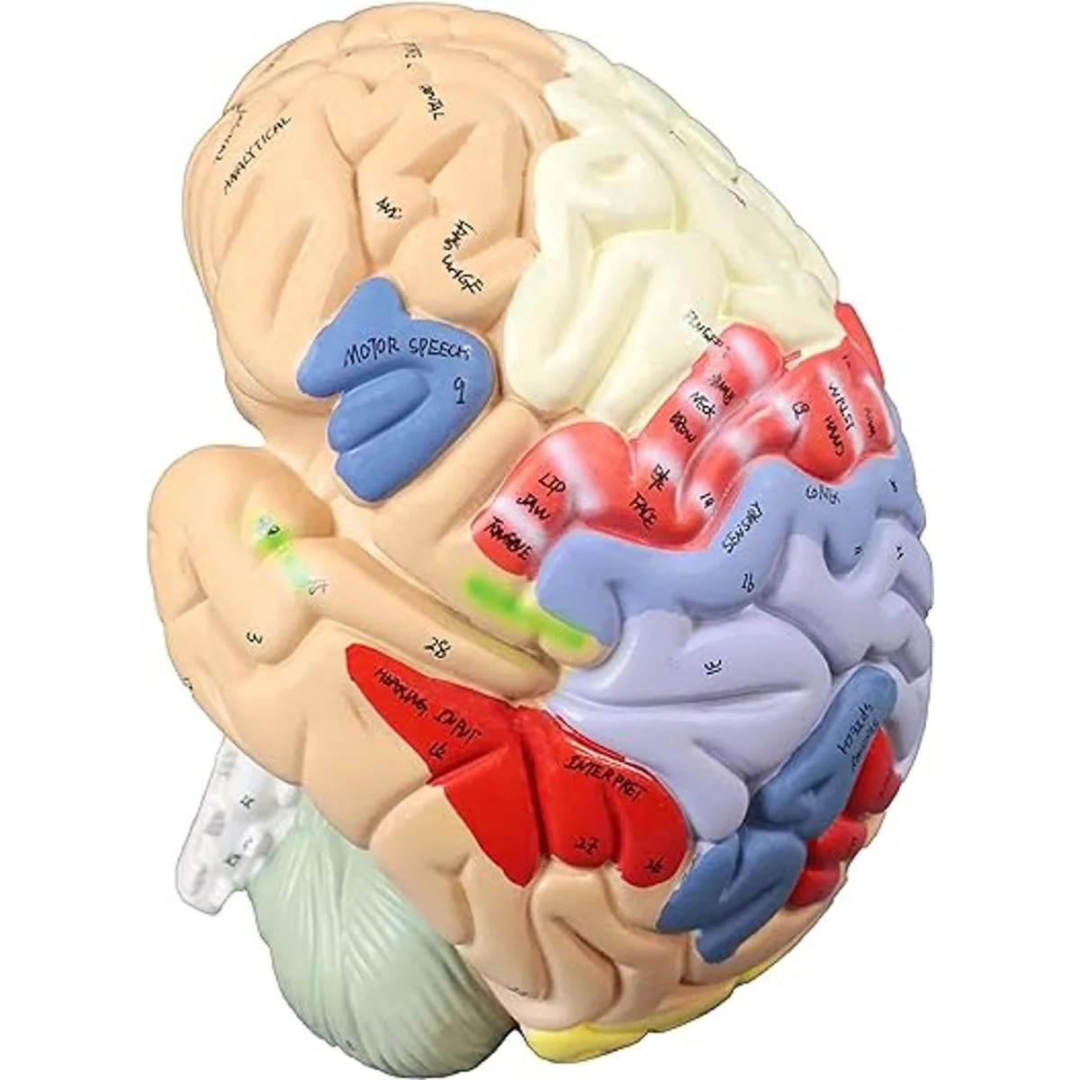 Parco Scientific pb00060 2 x vida tamaño codificados por_3