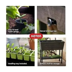 Keter Cama de jardín elevada_5
