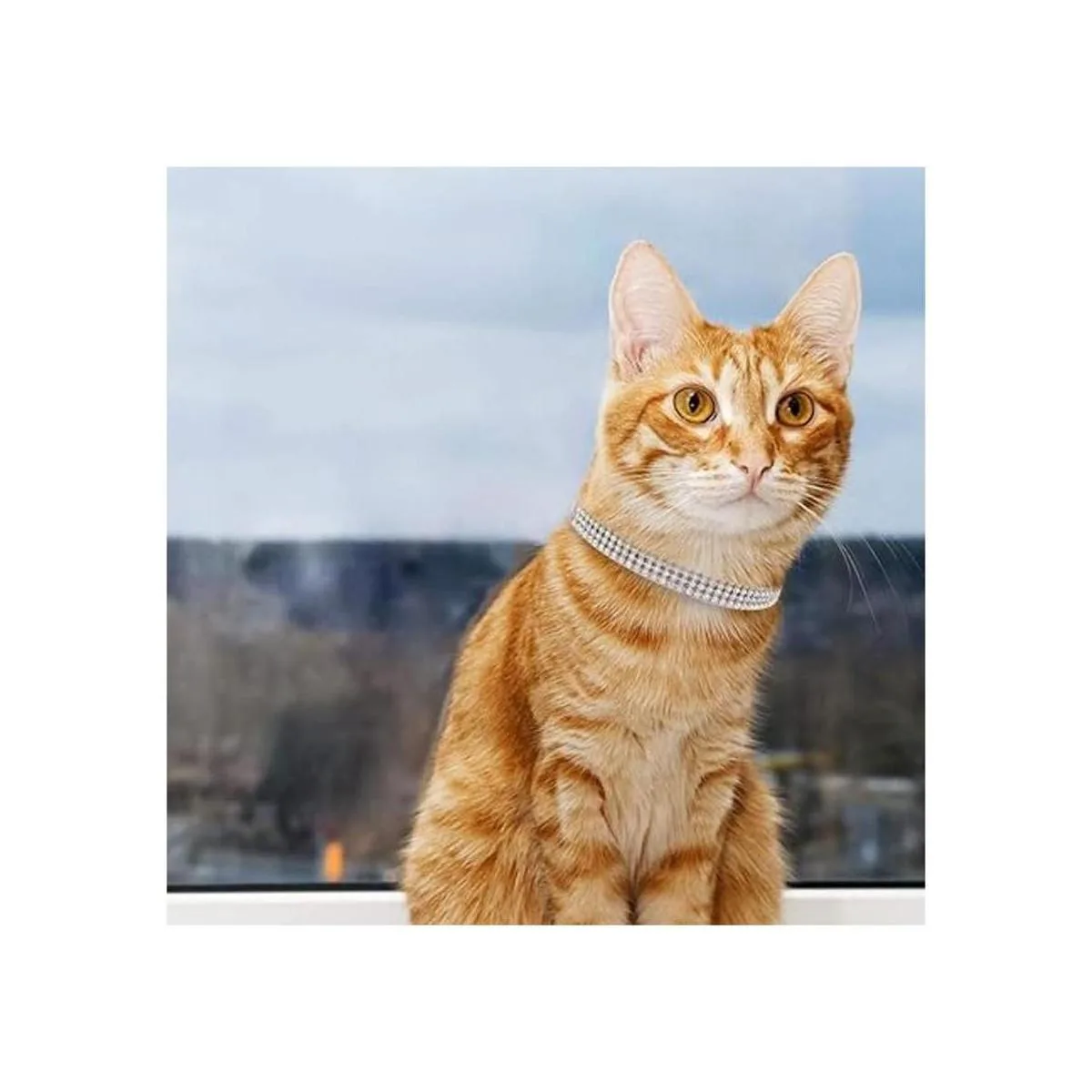 PUPTECK Collar básico ajustable para gatos con diamantes_6