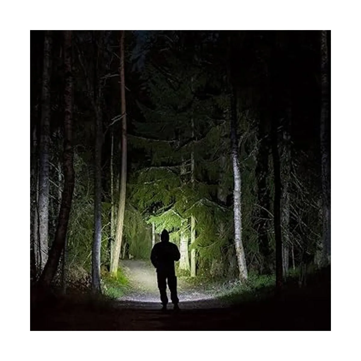 FLATEYE F700 Linterna subredonda de alto rendimiento CREE_6