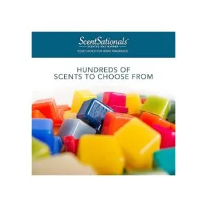 Scentsationals Coral Shores Cubos de cera perfumados 4_3