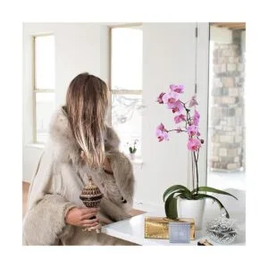 Quemador de incienso AM resina de incienso Globo de lujo_3