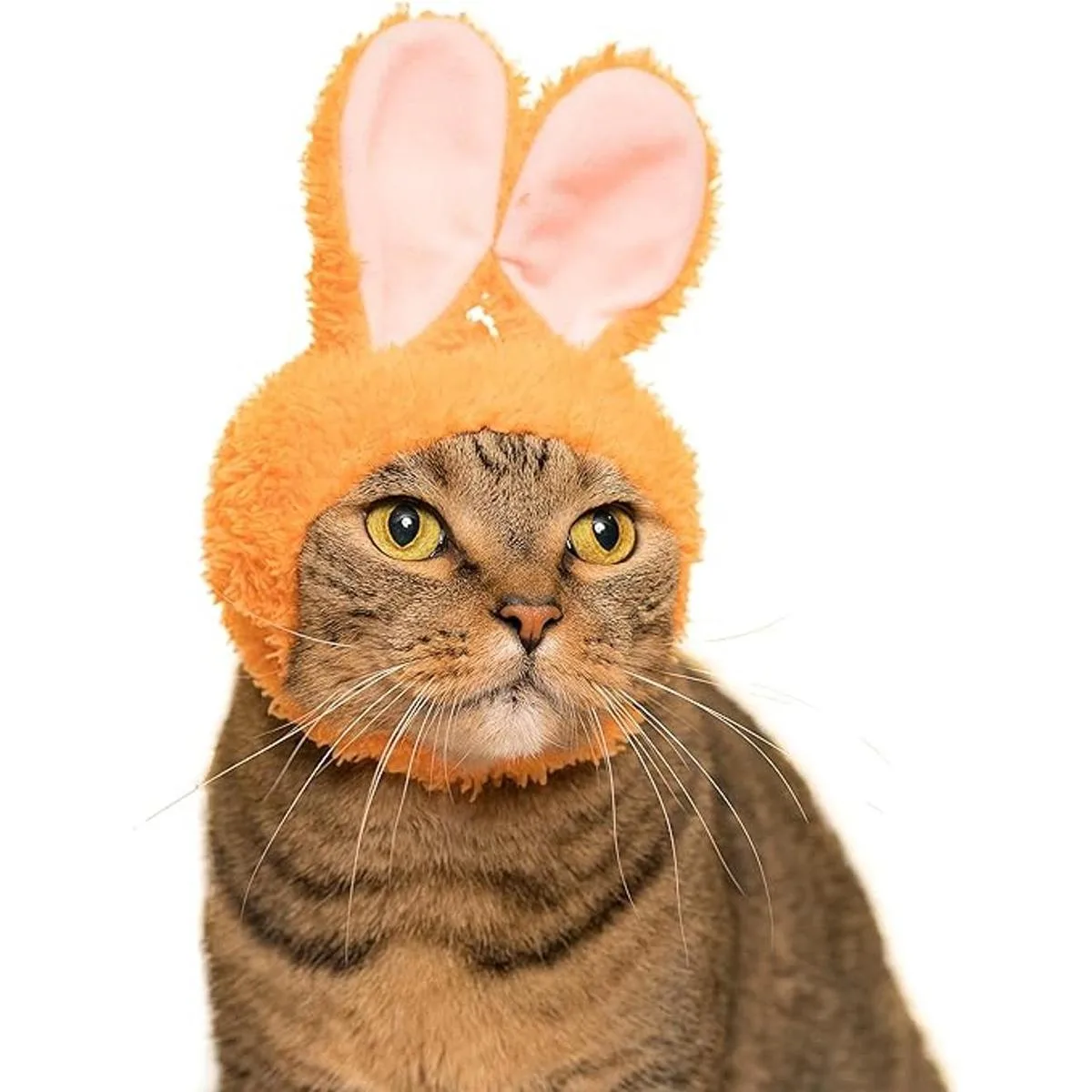 Club Cat Cap Caja a ciegas de sombrero mascota_5