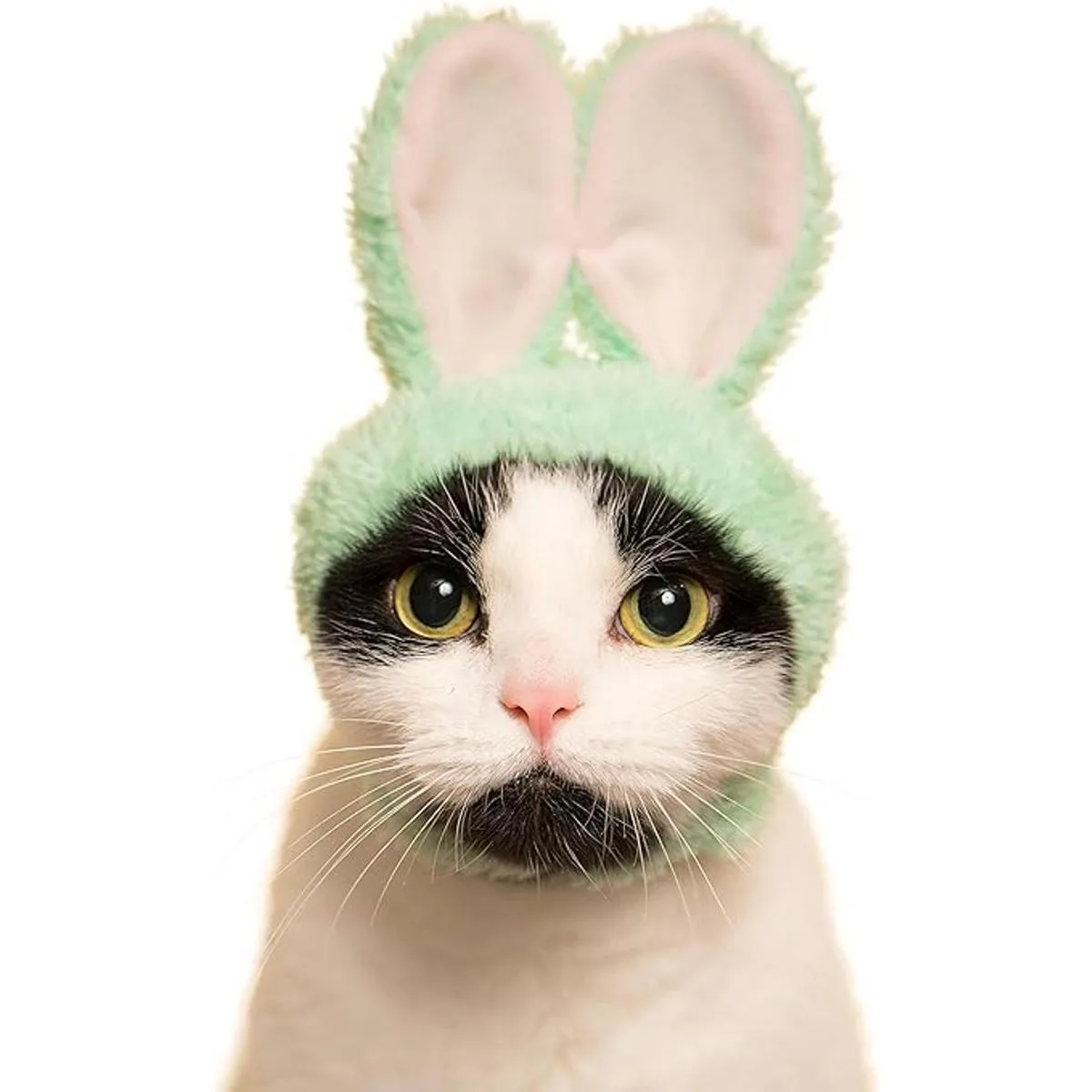 Club Cat Cap Caja a ciegas de sombrero mascota_6