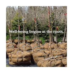 Burloptuous Rollo de arpillera de jardinería de 40 x 15_5