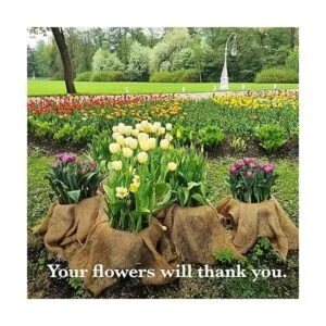 Burloptuous Rollo de arpillera de jardinería de 40 x 15_3