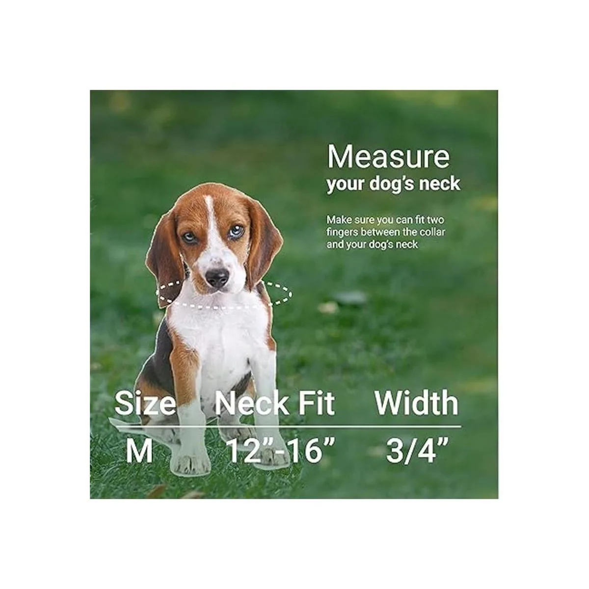 CollarDirect Collar de seguridad reflejante para perro_4