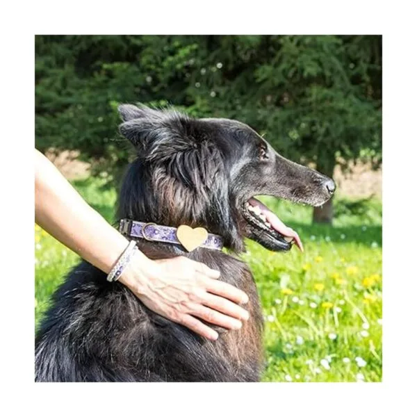 Collar de perro a juego con corazón y dueño tamaño_2