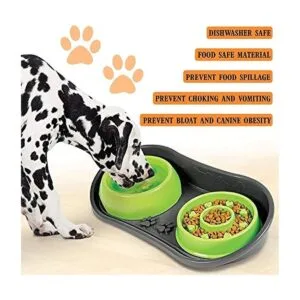 Bandeja antideslizante para mascotas con 2 cuencos lentos_2