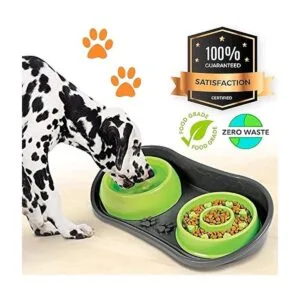 Bandeja antideslizante para mascotas con 2 cuencos lentos_5