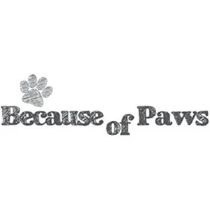 Bandeja antideslizante para mascotas con 2 cuencos lentos_7