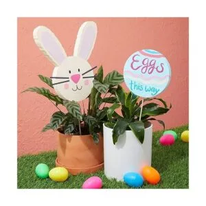 Paquete de 12 círculos de espuma para manualidades discos_2