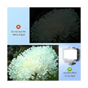 Suptig Luces subacuáticas 84 LED de alta potencia_3