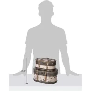 Alyssa SLPR Cajas de almacenamiento decorativas con_6