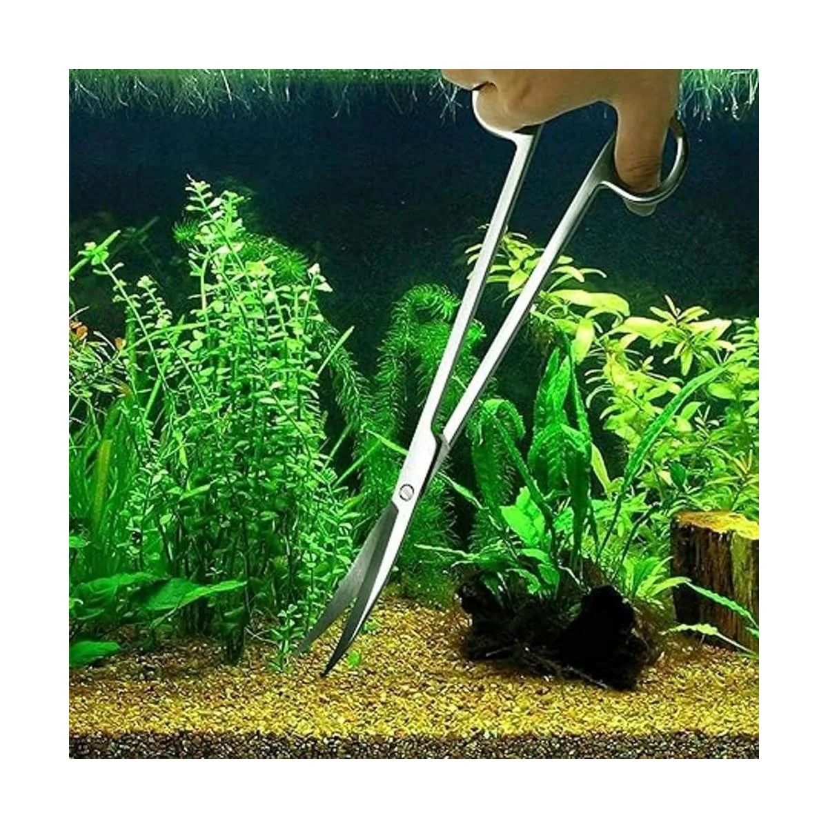 Fistoy Herramienta de espátula para tijeras de acuario_6