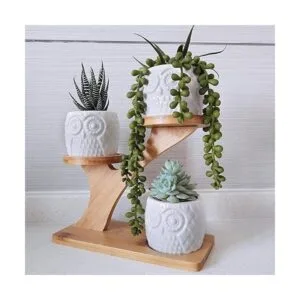 Suculentas 3 macetas de búho soporte con 3 niveles de_7